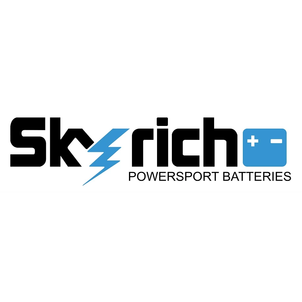 Skyrich LIPO12D Lithium Battery 6 Skyrich LIPO12D Lithium Battery - Image 4